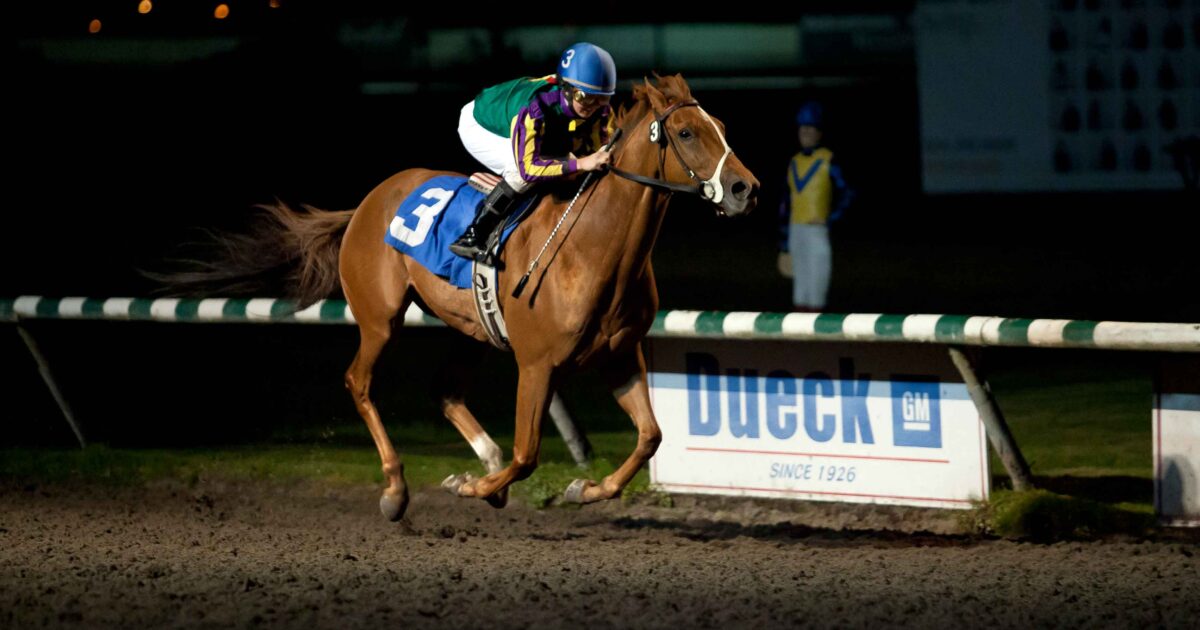 Hastings Racecourse Hastings Racecourse