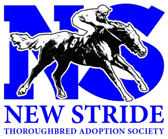 new-stride-logo